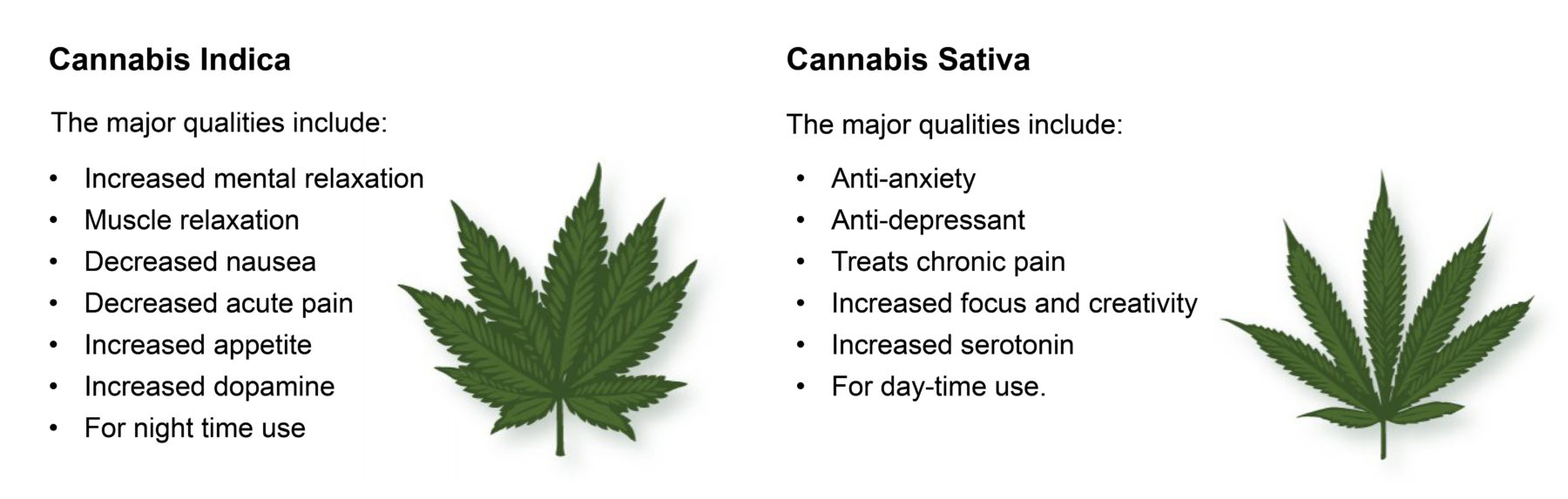 Sativa Vs. Indica / Cannabis Learning Centre / Greenleaf Medical Clinic ...