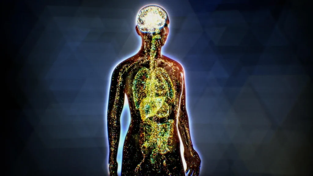 Endocannabinoid System